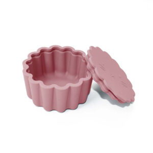 Lion Snack Pot - Dusky 🥀