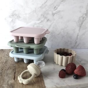 Food Feeder & Freezer Tray Set